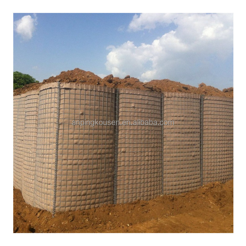 1mx30m Welded Mesh Cages for Chicken Galvanized and Pvc Coated Budget-friendly Choice