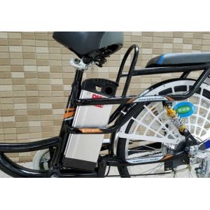 48v 8ah 350w 24 Inch Wheel Electric Bike