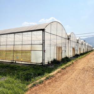 China Wind Resistant UV Net House Greenhouse Environmental Controller Multi-span Greenhouses wholesale