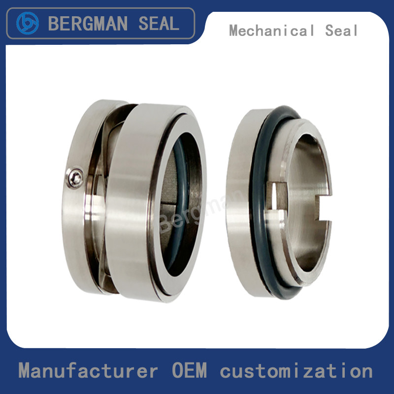 Bergman OEM W01 W02 W03 Rotor Pump Sanitary Pumps Food Pumps Seals Mechanical Seal