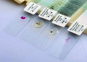 China Biological Prepared Microscope Slides , Plant Corn Root Tip L.S Micro Glass Slides wholesale