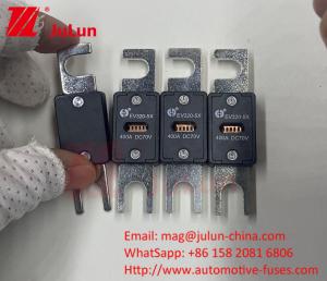 China EV320 100A 200A  225A 250A 300A 350A 500A 70VDC Blow 10KA/20KA Breaking Capacity Fuse For Electric Vehicle Charging on sale