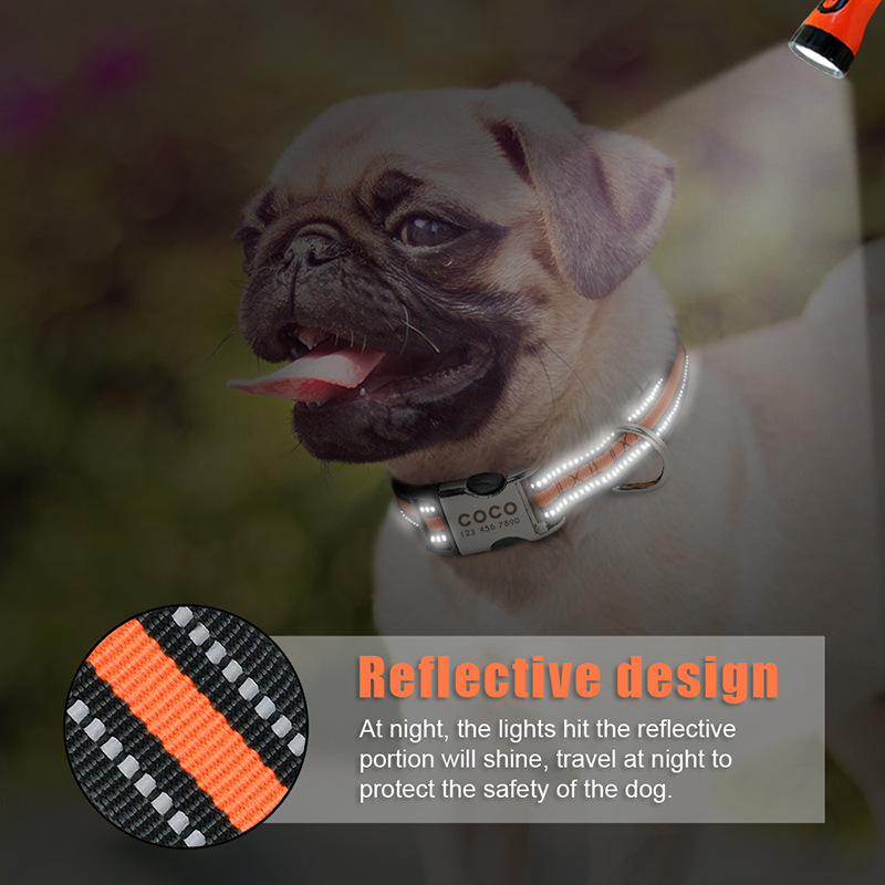 No Minimum Order Personalized Pet Collars Beautiful Pattern Sport Dog Collar