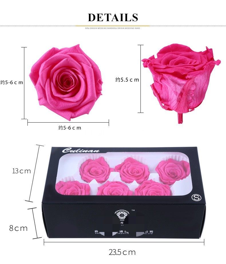 Wholesale Prices 5-7cm Preserved Flowers Ecuadorian Roses Valentine's Day
