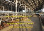 Hot Dip Galvanizing Tie Free Stall Dairy Barns Cow Farm Equipment Parts