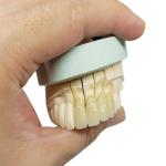 Safety Corrosion Resistant OEM Porcelain Crown All Ceramic Natural Look
