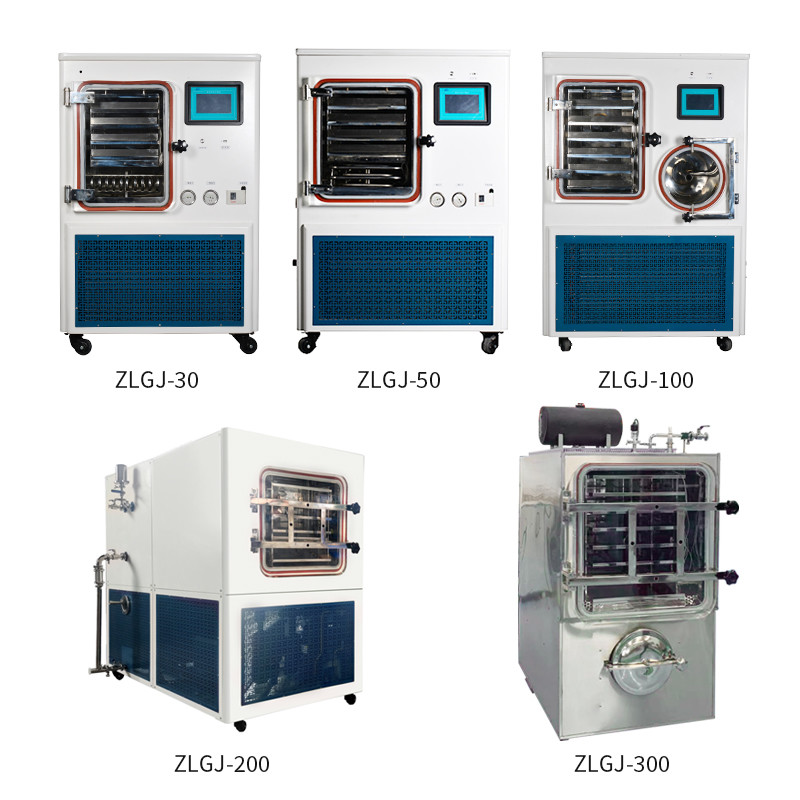 Lanphan Large Capacity Medical Laboratory Pilot Freeze Dryer Price
