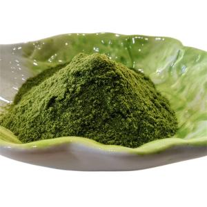China Fertilizer Seaweed Polysaccharides 40% Seaweed Extract Green Powder wholesale