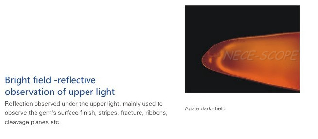 1:6.7 Zoom Gem High Resolution Fluorescence Microscopy 100MM WD WF15X / Φ16