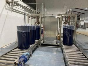 China Industrial Turnkey Mango Processing Line With Destoning Removing System wholesale