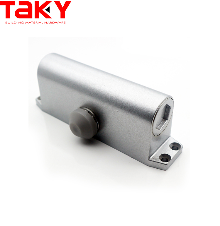 Fire Door Option Aluminum Hydraulic Heavy Duty Automatic Door Closer With Sliding Arm