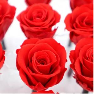 China 2020 New Year Love Gift Preserved Rose Flower Wedding Souvenirs For Guest wholesale