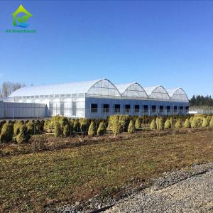 China Glass Cover Blackout Multi Span Greenhouse Gutter Connect Strawberry Plant Greenhouse wholesale