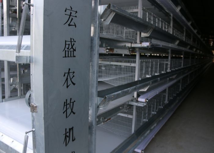 160 Birds Layer Chicken Cage Automatic Controlling System Q235 Steel Wire Material
