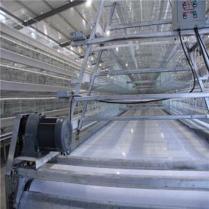 China Q235 Steel Wire Automatic Manure Removal System Hot Galvanized Material wholesale