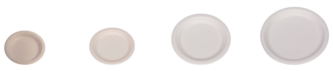 Compostable Biodegradable Disposable 9inch 10inch Sugarcane Sugar Cane Bagasse Party Dinner Plate