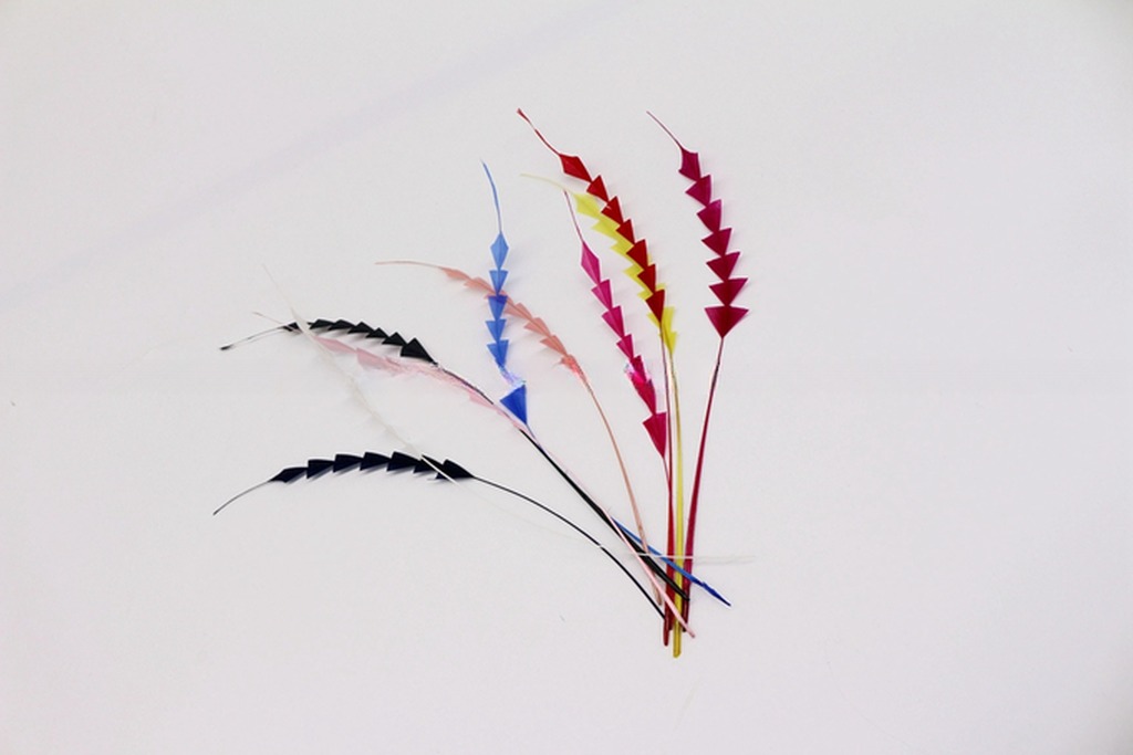 Dyed Stripped Rooster Coque Feathers with Fast Shipping via DHL UPS FEDEX EMS TNT