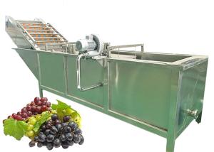 China Efficient Fruit Juice Manufacturing Plant Raisin Making Low Energy Consumption wholesale