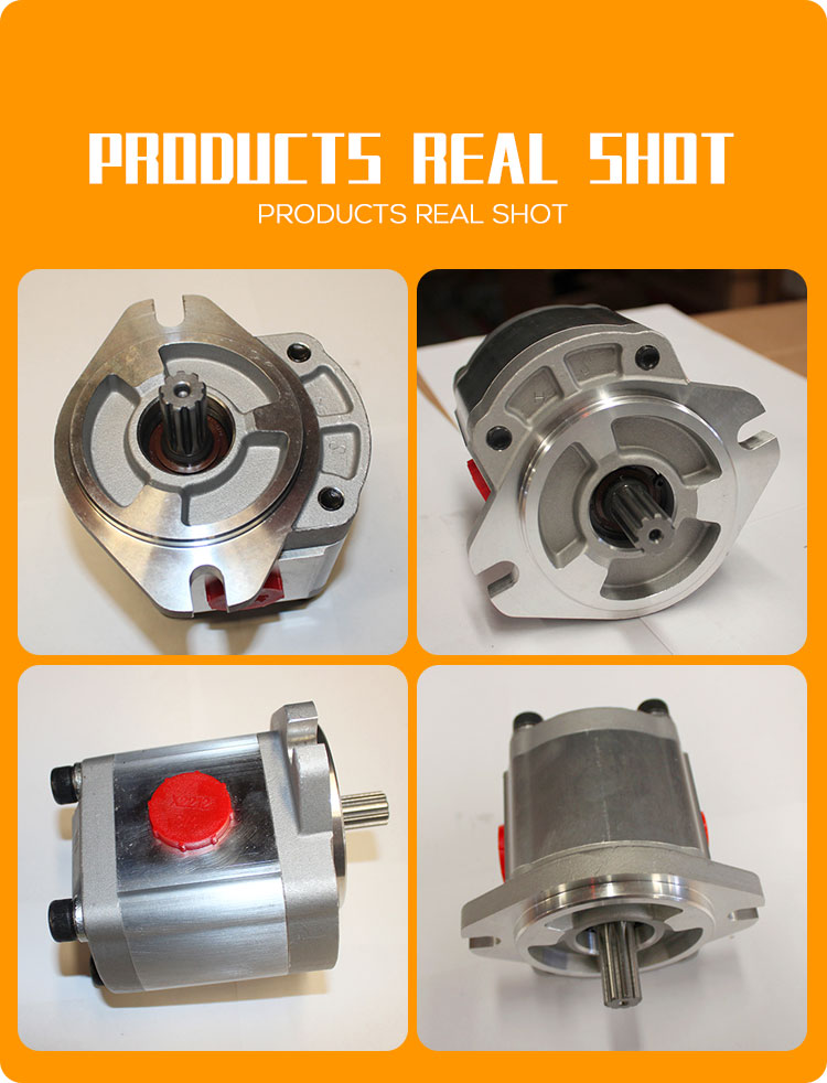 Portable Stainless Steel Electric 110V 220V Gear Pump for Food Grade Lube Oil Transfer