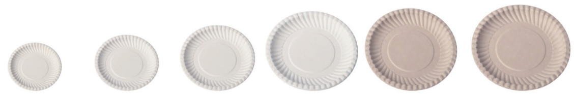 Compostable Biodegradable Disposable 9inch 10inch Sugarcane Sugar Cane Bagasse Party Dinner Plate