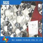Pn6-100 Forged Stainless Steel Flanges Neck Welded Duplex Steel Flanges National