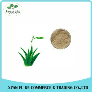 China Aloe Gel Freeze-dried Extract powder 100:1 wholesale
