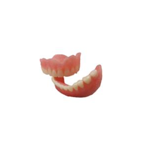 China Natural Digital Dental Model Surface Rubber Smooth OEM Denture Dental Lab wholesale