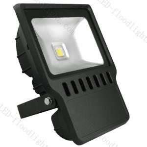 China 100W led flood light / 36W wholesale