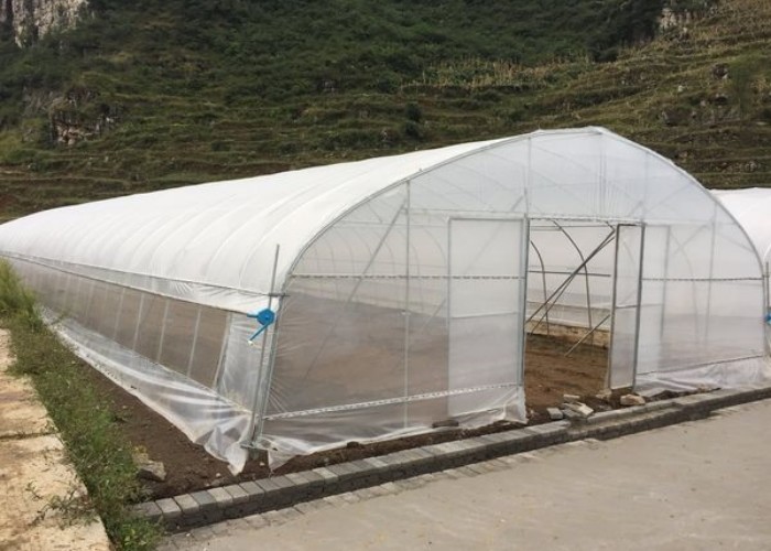 Hot Sale High Tunnel Plastic Single Span Greenhouse Agriculture For Vegetable Farm