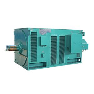 China Simo YR Series 8003-4 6300kW HV Electric Motor 1494RPM 722.8A wholesale