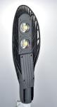 60 W street light