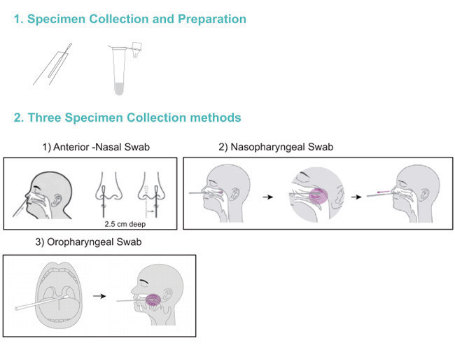 ISO9001 SARS-CoV-2 Rapid Self Home Antigen Test Kit 10 Tests/Kit Specificity 100%