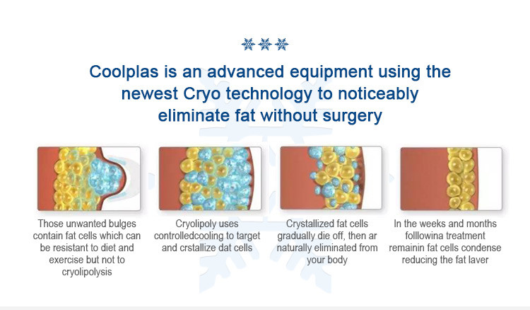 Cellulite Reduction Cryolipolysis Fat Freeze Slimming Machine 90kg Triple Handle
