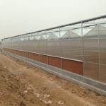 Agricultural Super Strong Resistance Vegetable Fruits Flowers Polycarbonate