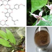 China Horny goat weed extact / Epimedium PE Icariin 10%-98% wholesale
