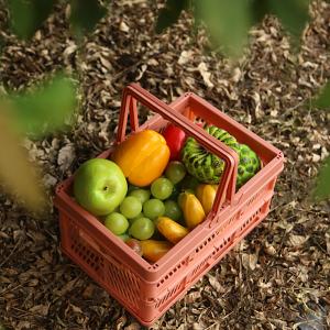 China Handle Plastic Basket Organizer wholesale