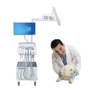 China Mobile Dental Unit Cart Dental Treatment Veterinary Pet Clinic Turbine With Air Compressor And Surgical Light wholesale