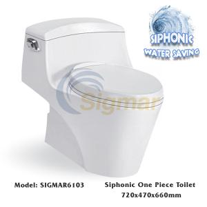 China SIGMAR6103 Dual Flush Porcelain Toilet Bathroom Ceramic Siphonic Toilet wholesale