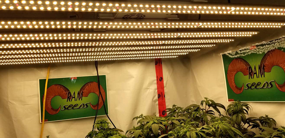 Energy Efficient Grow Led Bar / Dimmable Vegetable Grow Lights Easy Installation