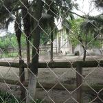Inox Bird Netting