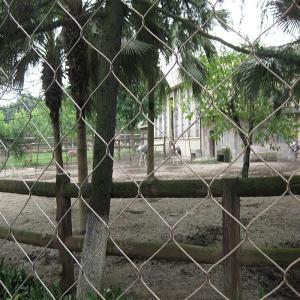 China Inox Bird Netting wholesale