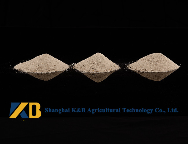 Animal Nutrition Supplements / White Rice Protein Powder High Biological Value