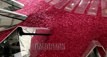 Automatic candy weighing plastic bag packing machine