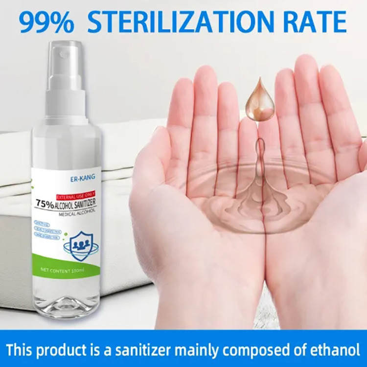 100ml Pocket Antiviral Hand Sanitizer Mini Waterless Hand Sanitiser For Adult