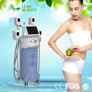 China cryolipolyse machine wholesale
