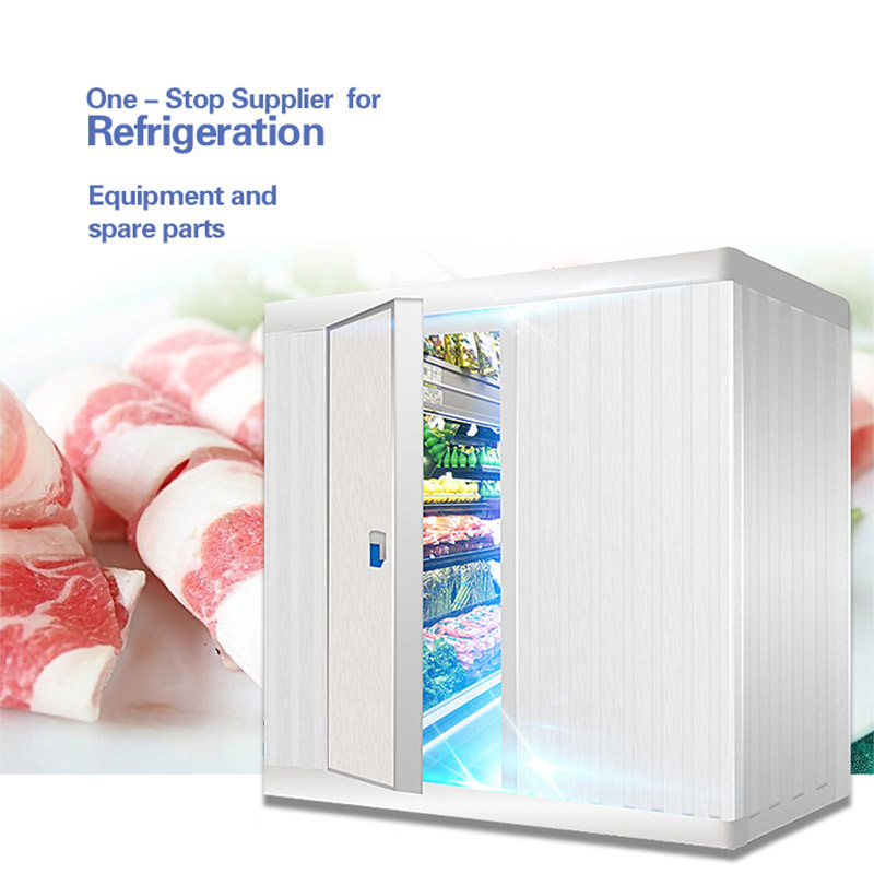 Commercial Cold Room Freezer Container For Frozen Vegetable And Fish Seafood