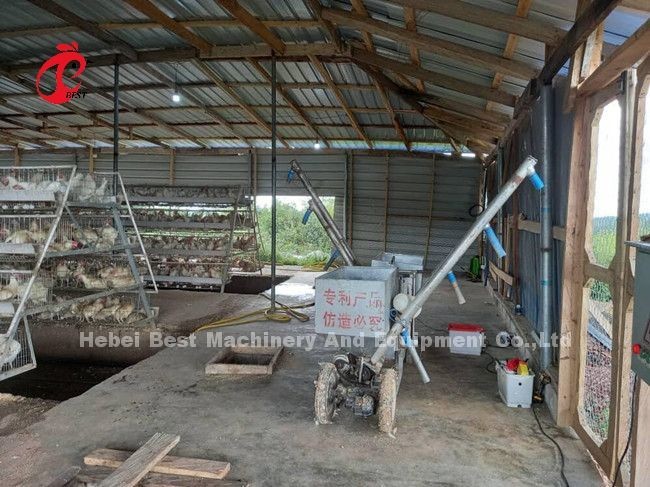 5 Tiers 450cm2 Galvanized Layer Battery Cage System Egg Laying Hens Emily