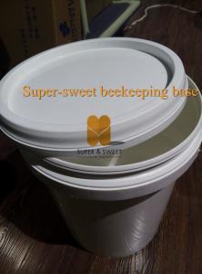 China 25L Food grade Plastic honey tank , PP honey barrel wholesale