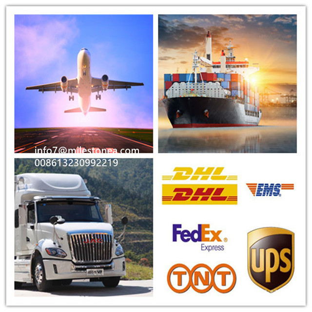 3/8" NPT Fuel Filter Fuel Water Separator 35604941 For Marine Outboard Gasoline Petrol Motor