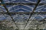 Agriculture Vegetable Flower Glass Greenhouse Farm Commercial Greenhouse